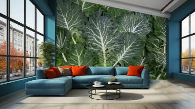 collard green leaves Wall mural