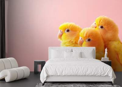 Three adorable yellow birds with fluffy feathers stand close together against a soft pink background. Wall mural