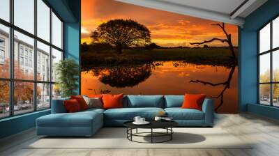 sunset over the lake Wall mural