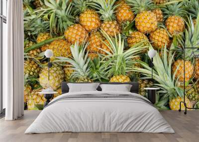 pineapple tropical fruit Wall mural