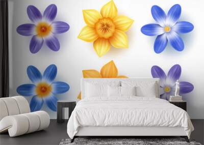 Spring flowers vector set. Daffodils, choinodoxa, and crocus collection with various colors for spring season as graphic elements and decorations. Vector illustration. Wall mural