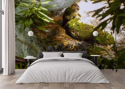 Moss rock with a little creek background and branches in the front. Wall mural