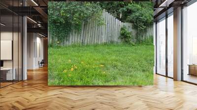 wooden fence and grass Wall mural