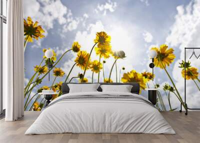 Coreopsis with Blue Sky Wall mural