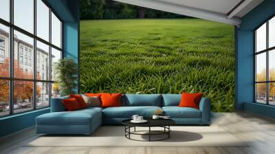 green grass in the field Wall mural