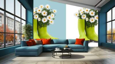 Daisies Blooming plant in green rubber boots. Front view isolated on white and light blue background. Springtime and gardening concept or florist shop and garden works Wall mural