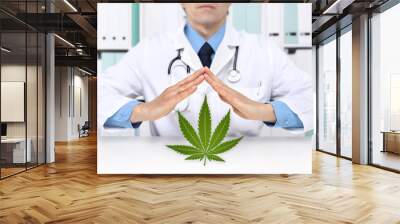 hands doctor with marijuana medical cannabis icon Wall mural