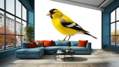 Elegant goldfinch isolated on transparent background for ornithology and nature-themed design projects Wall mural