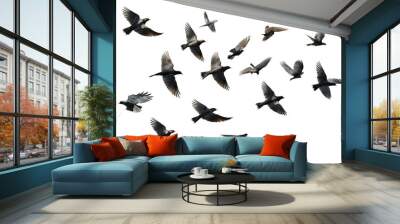 Flock of birds in flight with transparent background for easy decoration projects in PNG style Wall mural