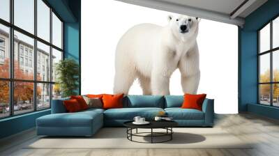 High-resolution polar bear isolated on transparent background for wildlife illustrations and arctic animal design projects featuring majestic and powerful ice habitat creatures Wall mural