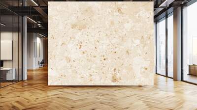 Terrazzo floor seamless pattern. Consist of marble, stone, concrete and polished smooth to produce textured surface. For decoration interior exterior, textured print on tile and abstract background. Wall mural