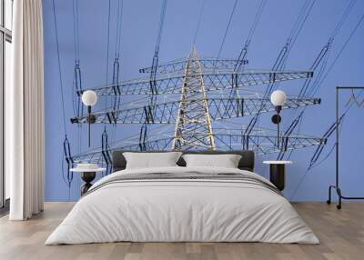 solitary electricity pylon Wall mural