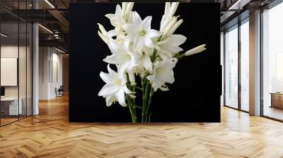 Mexican Tuberose flower Wall mural