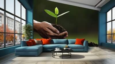 Hands holding and caring a green young plant Wall mural