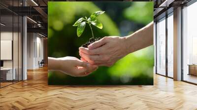 Two hands holding together a green young plant Wall mural