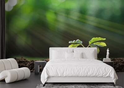 Young plant in the morning light on nature background Wall mural