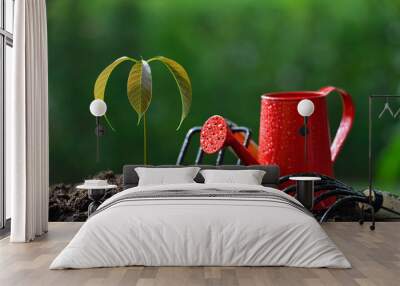 Young plant with gardening tools in the morning light on nature background Wall mural