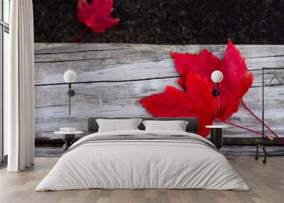 Bright red autumn leaves on the wooden bench Wall mural