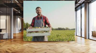 Close up handsome farmer is holding a box of organic vegetables walk look at camera at sunlight agriculture farm field harvest garden nutrition organic fresh outdoor slow motion Wall mural