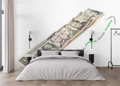 all U.S.A presidents of U.S. money currency Wall mural