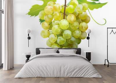 Ripe grape isolated on white. Vector illustration.  Wall mural