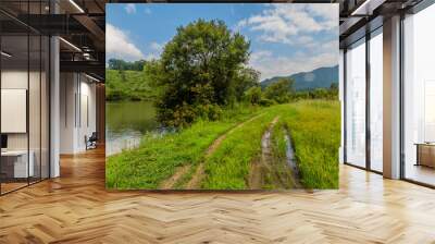 Tire tracks in meadow beside lake with blue cloudy sky in background. Wall mural