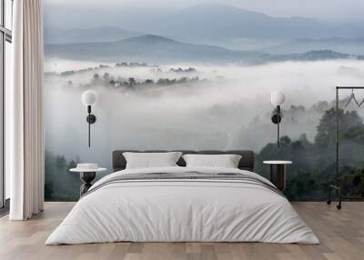 morning foggy landscape in the month of June Wall mural