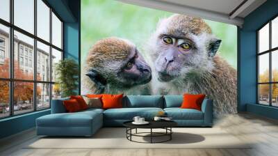 Ape Style Wall mural