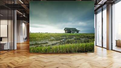 Abandon wooden house surrounded by paddy field during harvesting Wall mural