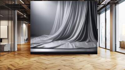 soft gradient gray fabric studio backdrop smooth cloth background with subtle spotlight abstract photo Wall mural