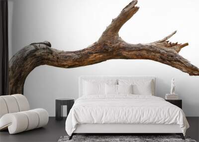 Dry branch tree naturally. Wall mural