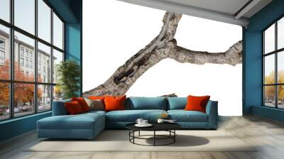 Dry branch tree naturally. Wall mural