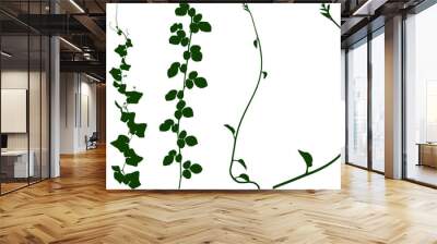 green leaves background. Plant flower, Vine Liana ivy plant bush nature jungle rainforest. Wall mural