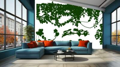 PrPlant flower, Vine Liana ivy plant bush nature jungle rainforest.int Wall mural