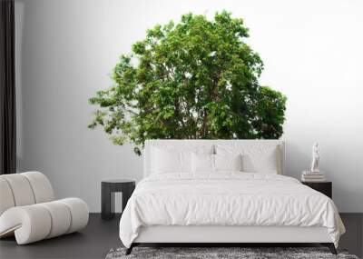 Tree isolated on white background Wall mural