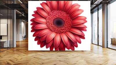 Red gerbera flower isolated on transparent background,png image,floral design element  Wall mural