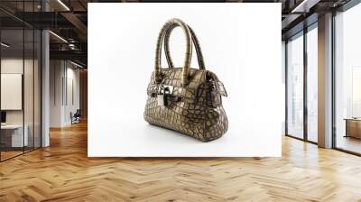 Brown Leather Ladies Handbag. Wall mural