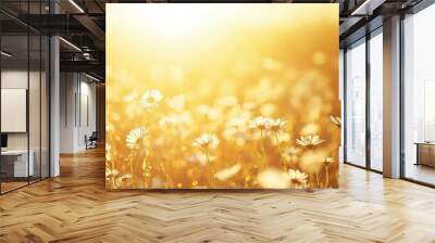 Endless fields of daisies in Germany under a warm, sunny sky, with space for text in the background. Wall mural