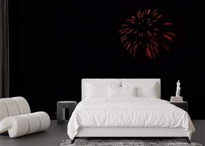 Colorful fireworks of various colors over night sky Wall mural