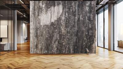 100 year old wood texture background Wall mural