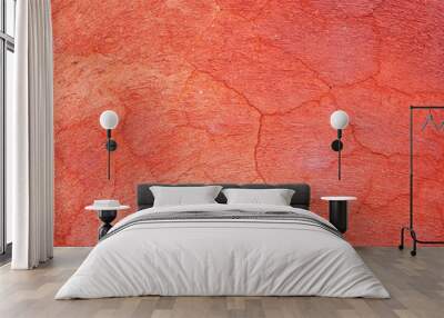 red cement wall background,abstract concrete texture Wall mural