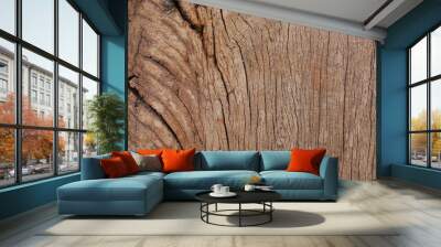 tree wood board texture background, brown hardwood texture Wall mural