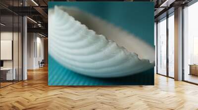 sea abstract blue background with a part of shell Wall mural