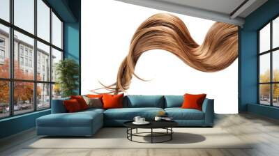 Curl of natural hair on white background Wall mural