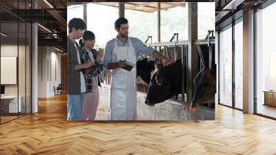 agriculture industry, livestock, animal health and welfare. Dairy farmer male and female working in cowshed on dairy farm. Male and female veterinarian meeting and training in cowshed on dairy farm Wall mural