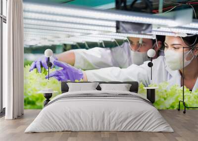 Two male and female scientist analyzes and studies research in organic, hydroponic vegetables plots growing on indoor vertical farm Wall mural