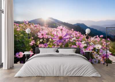 colorful cosmos flowers that rise in the heart of the valley, a popular tourist attraction in chiang Wall mural