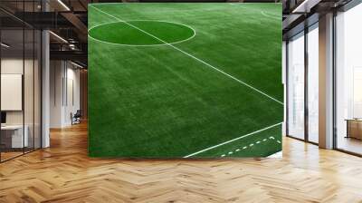 football field Wall mural