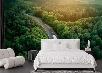 An aerial view of a truck on the road surrounded by an expansive woodland of pine trees, bathed in gentle sunlight Wall mural