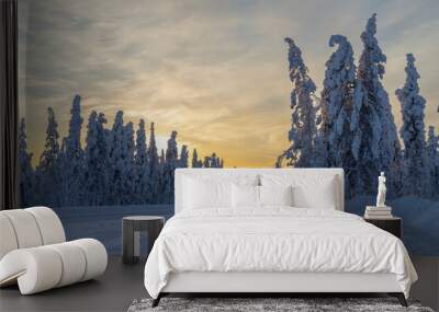 Sunset on a winter evening in Finnish Lapland Wall mural